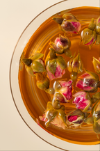 Golden Edge Rose